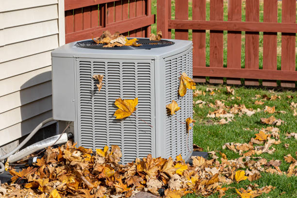 Best Heating Repair Services  in Laguna Vista, TX